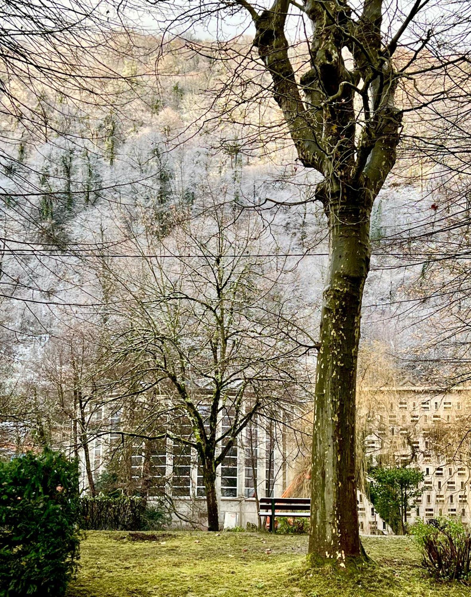 Fantastic Ground Floor Apartment Opposite Thermes Bagneres-de-Luchon Exterior photo